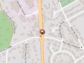 Carte de Mayeur Ringo à Arnage