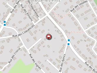 Carte de Cornille Yvan à Brette-les-pins