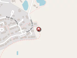 Carte de Vang Txai Guy à Retiers