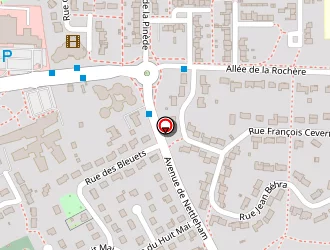 Carte de Ogawa Chisa à Mulsanne