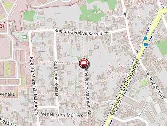 Carte de Eirl Santiago Antonio à Orléans