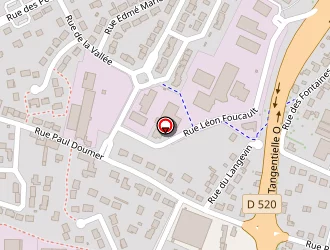 Carte de Suarez Pascal à Saint-jean-de-la-ruelle