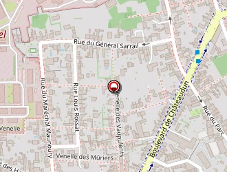 Carte de Côté Mosaïque à Orléans