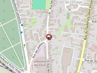 Carte de Palmier Sandra à Orléans