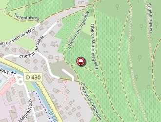 Carte de Visco Alexandre à Guebwiller