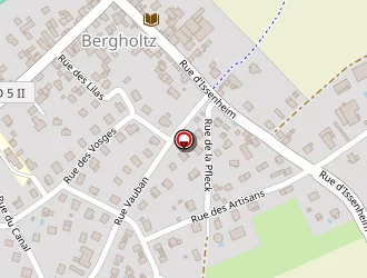 Carte de Dal Cin Serge à Bergholtz