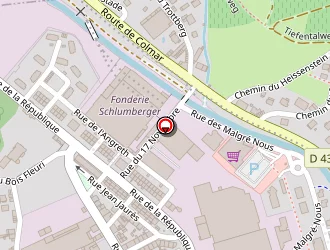 Carte de Jaenicke à Guebwiller