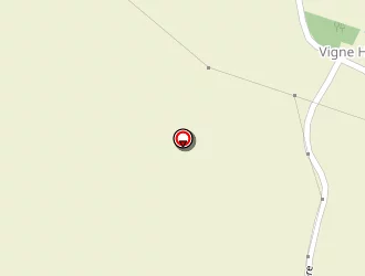 Carte de Bion Patrice à Temple (le)