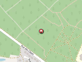 Carte de Paillard Jean-françois à Brette-les-pins