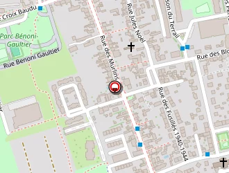 Carte de Guerineau Bruno à Orléans