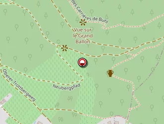 Carte de Schoeny Cynthia à Buhl