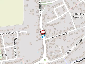 Carte de Soulas Thierry Peinture à Ingré