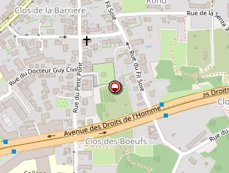 Carte de Fournier Aline à Orléans