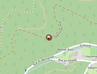 Carte de Tinelli Yannick à Murbach