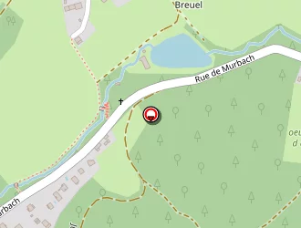 Carte de Clementz Jérôme à Buhl