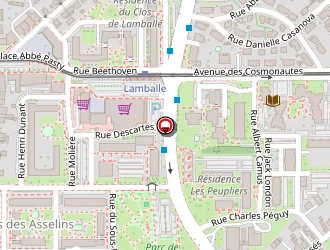 Carte de B.e.s à Fleury-les-aubrais