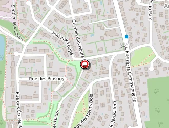 Carte de Electricité & Multi-services à Boigny-sur-bionne