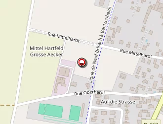 Carte de Schelcher Jean-michel à Balgau