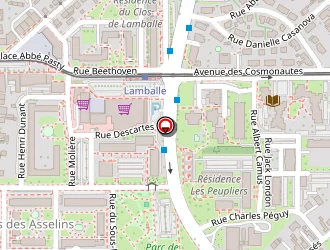 Carte de Voyatzis Yorgo à Fleury-les-aubrais