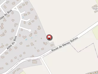 Carte de Linger David à Saint-évarzec