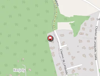 Carte de Nedelec Jean à Pleuven