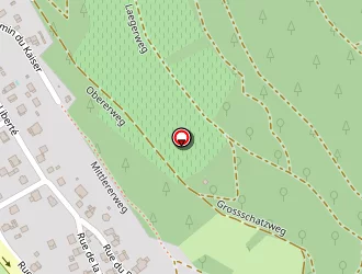 Carte de Mayer Séverine à Buhl