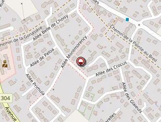 Carte de Pact Express à Parigné-l'évêque