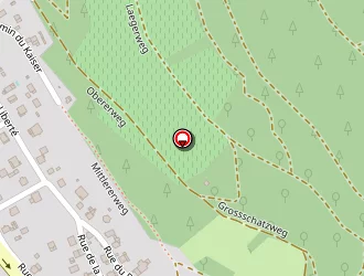 Carte de Egret Vincent à Buhl