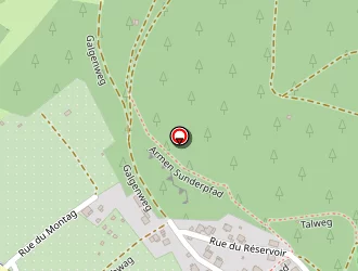 Carte de Capy Jacques à Buhl