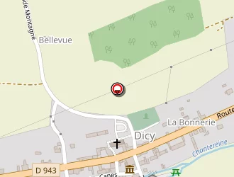 Carte de Busson Claude à Dicy