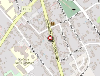 Carte de Gymnase à Parigné-l'évêque