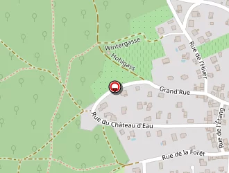 Carte de Soltys Alexandre à Orschwihr