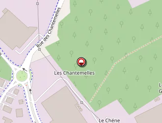 Carte de Etoile Routière à Ingré