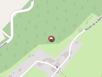 Carte de Mv Bois à Val-d'ajol (le)