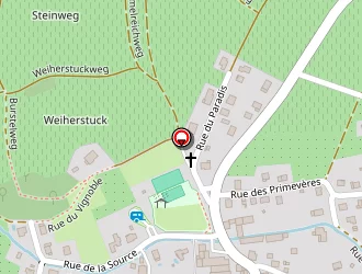 Carte de Ziegler Albert à Orschwihr