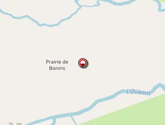 Carte de Des Aulnes à Triguères