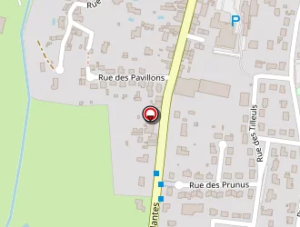 Carte de Daudin Stéphane à Cossé-le-vivien