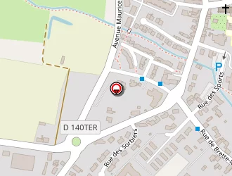 Carte de Ballion Laëtitia à Ruaudin