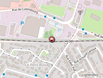 Carte de Salguero Dominique à Fleury-les-aubrais