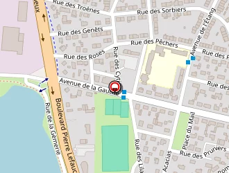 Carte de Hôtel Formule 1 à Arnage