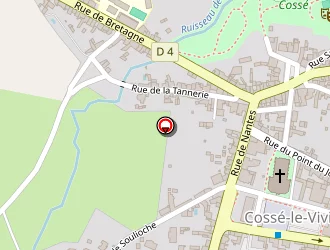 Carte de T.s.i (tous Services Informatiques) à Cossé-le-vivien