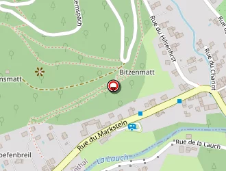 Carte de Euro Information à Linthal