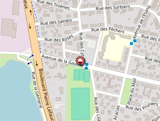 Carte de Somabois à Arnage