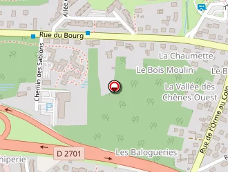 Carte de Songe D'afrique à Saran