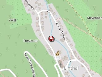 Carte de Baumann Dreyfus (gaec) à Linthal