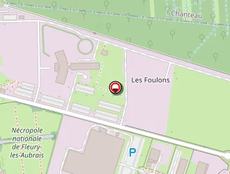 Carte de Socoloir à Fleury-les-aubrais