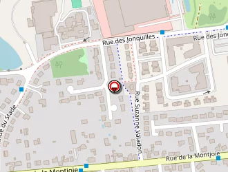 Carte de Mairie à Saran