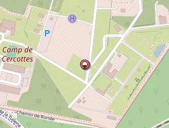 Carte de Mangold Marçais (scp) à Saran