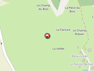 Carte de Flaud Angélique à Origné