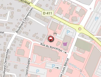 Carte de Richard à Janzé